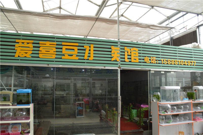 愛喜豆水族館